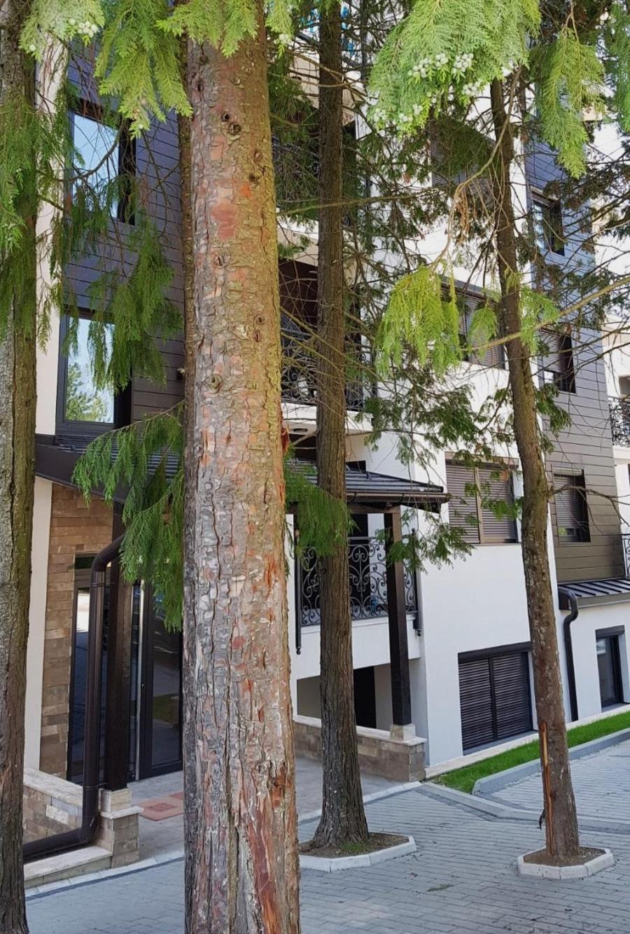 Apartman 11 Breza Златибор Экстерьер фото